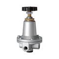 Riegler 637.71, Precision Pressure Regulator, G 1/4, Range 0.1 - 1 Bar, 101229