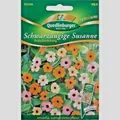 Schwarzäugige Susanne Pastellmischung Kletterpflanze   Samen
