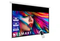 ESMART ESMART Germany Motor Leinwand Motorleinwand (Professional MIMOTO)