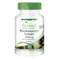Rosskastanie Extrakt 300 mg 90 Kapseln 20% Aescin, hochdosiert VEGAN | fairvital