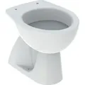 Stand-wc 39x53 Weiß Glänzend  - Geberit Colibrì - Con Copri Wc Standard - Accessorio: Senza Copri Wc