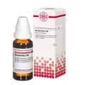 Strophanthus D 6 Dilution 20 ml