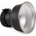Caruba Zoom Reflector for Profoto (Blitzgerät Adapter) (D291031)