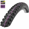 SCHWALBE MAGIC MARY 27.5" FALT REIFEN 2.6" TLR DOWNHILL 65-584 PLUS MOUNTAINBIKE