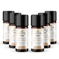 bedrop Propolis Nagelserum 10ml Nagelöl zur Nagelpflege & Stärkung natürlicher Nägel mit Propolis Teebaumöl Lavendelöl & weiteren Ölen (6x 10ml zum Sparpreis)