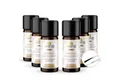 bedrop Nagelpflegeserum Nagelpflege mit hochdosiertem Propolis & 4 ätherischen Ölen, Zur Unterstützung bei Nagelpilz und Nagelpflege