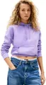 Tommy Jeans Damen Tjw Reg Flag Hoodie Dw0dw19958 Kapuzenpullover, Purple (Ophelia Purple), XS EU