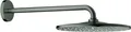 GROHE Rainshower Mono 310, Graphit, 1 Stück(e)