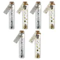 6 x Wunschglas Geldgeschenk Verpackung 11 cm Geldverpackung für Weihnachten