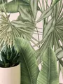 NEWROOM Vliestapete Grün Dschungel Palmen Tropisch Modern Wohnzimmer Floral