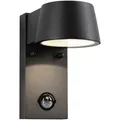 Paulmann Capea 94453 LED-Außenwandleuchte mit Bewegungsmelder    6 W Grau