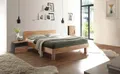 HASENA Forti Trento 16 7228.212280