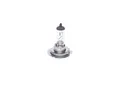 BOSCH Glühlampe, Hauptscheinwerfer Longlife Daytime BL 1 987 301 057