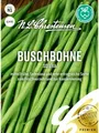Buschbohne Sotexa mittelfrüh fadenlos ertragreich  Samen 02490