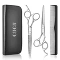 CIICII Friseurschere, Haarschneideschere Profi Set (6,7 Zoll Haarschere & Effilierschere) Haar Bart Trimmen Formung Pflege für Männer Frauen Haustiere Familie Friseursalon (Silber)