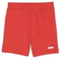 PUMA Trainingsshorts Puma Jungen Short ESS 2 COLOR No.1 Logo Sho 685826 rot 152
