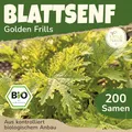 Little Plants BIO Blattsenf Samen 200 Blattsenfsamen Golden Frills Senfkohl Gemüsesamen Gemüsesaatgut Samenfest für Gemüsegarten, Hochbeet, Küche, Balkon und Garten