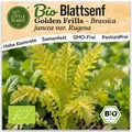 Blattsenf Samen (BIO) - 200 Samen Gemüsesamen Blattsenfsamen Golden Frills