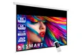 ESMART ESMART Germany Motor Leinwand Motorleinwand (Professional MIMOTO)