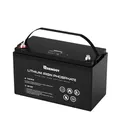 Renogy 24V 50Ah LiFePo4 Lithium Batterie Smart BMS 3500 Zyklen für RV, Wohnmobil und Camper