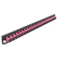 "DeLOCK - Rack-Montageblech für Glasfaser-Spleißbox - Vorderseite - SC MM X 24 - violett - 1U - 48.3 cm (19\")"