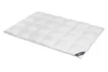 Daunendecke 155x200 cm 60 % Daunen Extra warme  Bettdecke Steppdecke Daunen SPESSARTTRAUM BLUE