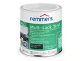 Remmers Lack Multi-Lack 3in1