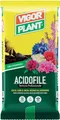 VIGORPLANT ACIDA 20