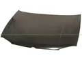 PRASCO Motorhaube vg0343100 für VW