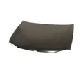 PRASCO Motorhaube Haube passend für VW Golf IV 1J1 1J5 VG0343100