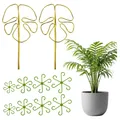 Pflanzenstütze 2er Set Alu-Stützen + 8 Kunststoffhalter für Monstera & Co