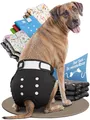 HUND IST KÖNIG Hundewindeln für Hündinnen (3 Stück) - Hochabsorbierende Läufigkeitshose für Hündinnen mit 3-Fach Justierung - Umweltfreundliche Hunde Windeln, Hundehöschen Läufigkeit & Inkontinenz
