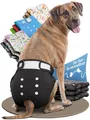 Hundewindeln für Hündinnen 3 Stück  Hochabsorbierende Läufigkeitshose für Hün...