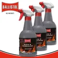 Ballistol 3 x 750 ml Kamin- & Ofenreiniger Pumpspray Grillrost Backblecke Töpfe