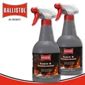 Ballistol 2 x 750 ml Kamin- & Ofenreiniger Pumpspray Grillrost Backblecke Töpfe