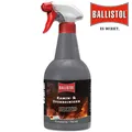 Ballistol Kamin- und Ofenreiniger Kaminofenreiniger Reinigungsschaum 750ml