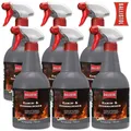 6x Ballistol Kamin- und Ofenreiniger Kaminofenreiniger Reinigungsschaum 750ml