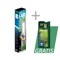 Sparpaket JBL LED SOLAR NATUR Aquarium LED 438mm + PROFLORA Ferropol 500ml