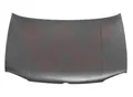 VAN WEZEL Motorhaube 5888660 für VW