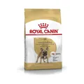 Royal Canin French Bulldog Adult | 1,5 kg | Alleinfuttermittel für Hunde | Für Französische Bulldoggen