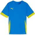 Puma teamGOAL Matchday Jersey jr (128) (705748_16)