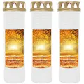 HS Candle Grabkerze Grablicht - 3er Pack - mit Motiv (Allee) - ca 170h / 7 Tage Brenndauer je Kerze (26cm, Ø 7cm) - viele versch. Designs
