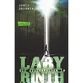 Carlsen Die Auserwählten Im Labyrinth (Anke Caroline Burger, James Dashner, Deutsch) (2400540)