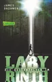 Die Auserwählten - Im Labyrinth: Maze Runner 1 (Die Auserwählten - Maze Runner,