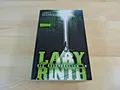 James Dashner: Die Auserwählten im Labyrinth / Taschenbuch