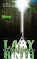 Die Auserwählten - Im Labyrinth: Maze Runner 1 (Die Auserwählten - Maze Runner)