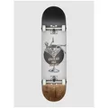 Globe G1 Excess 8.0" FU Skateboard white / brown Gr. Uni