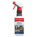 Algen-/Grünbelag Vernichter 05l