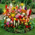 Blumenzwiebeln Winterhart Mix - Budget Border Kollektion - 50 Stück - Mehrfarbig