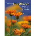 Urachhaus Heilpflanzen (Deutsch, Markus Sommer, 2022) (2471960)